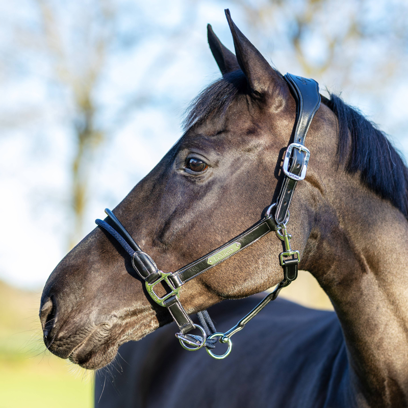 LeMieux Rope Control Headcollar - Black-1
